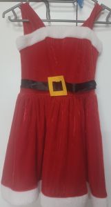 Kids Costumes to Hire - a Little Miss Santa Dress.jpg